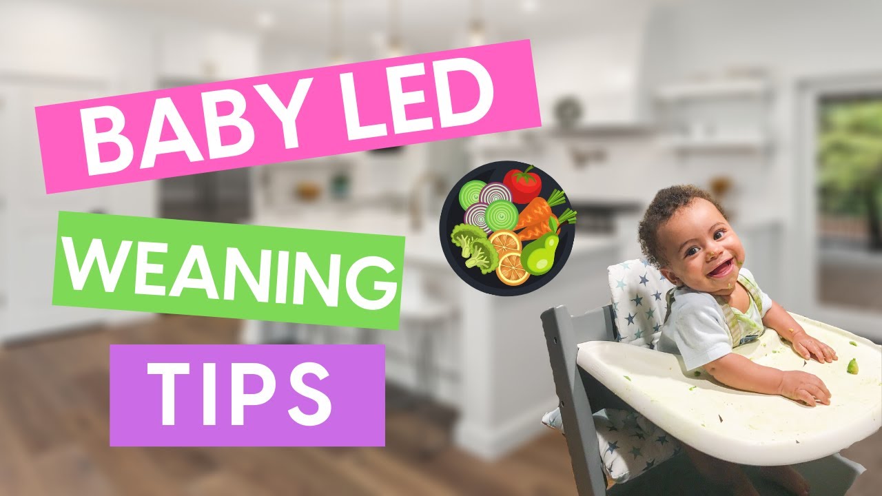 BABY LED WEANING // The Best And Easiest Way To Get Started For Success // blw tips and tricks