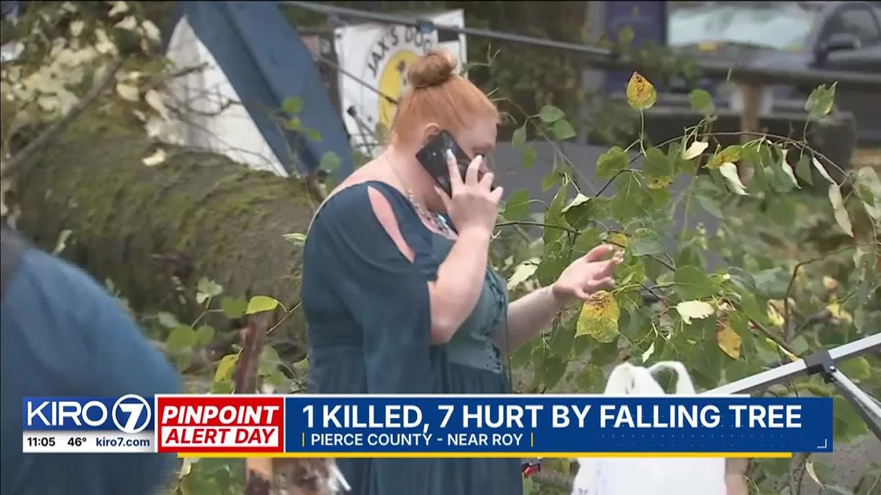 One dead after tree falls at Halloween event in Pierce County