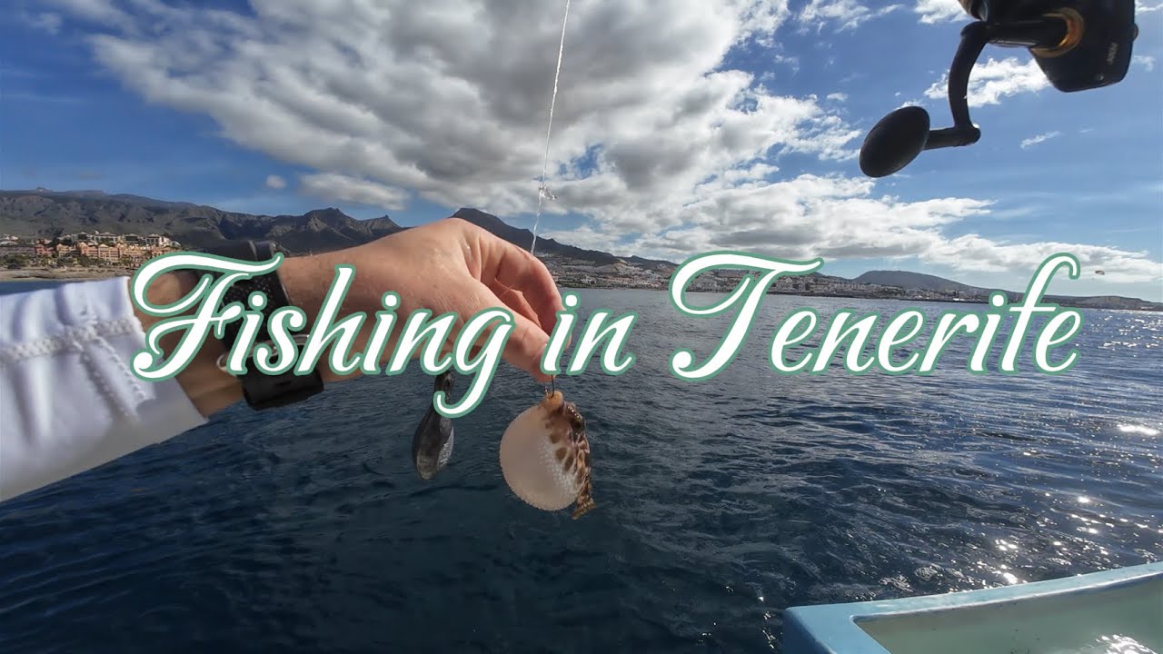 Bottom fishing in Tenerife with squid#fyp #tenerife #fishing  #bottomfishing  #squid #balloonfish 