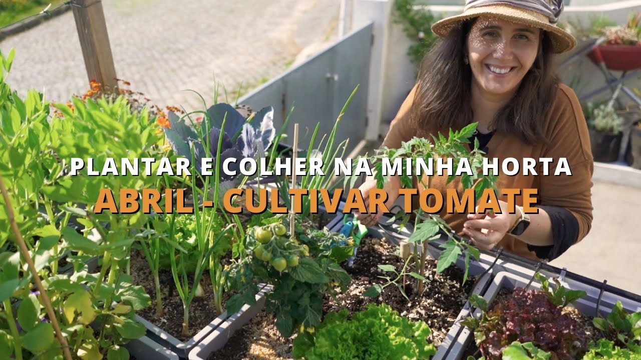 Abril - Cultivar Tomate