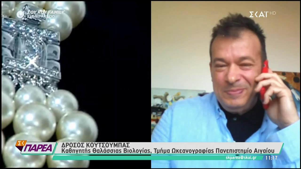 Πως δημιουργείται το μαργαριτάρι στο στρείδι