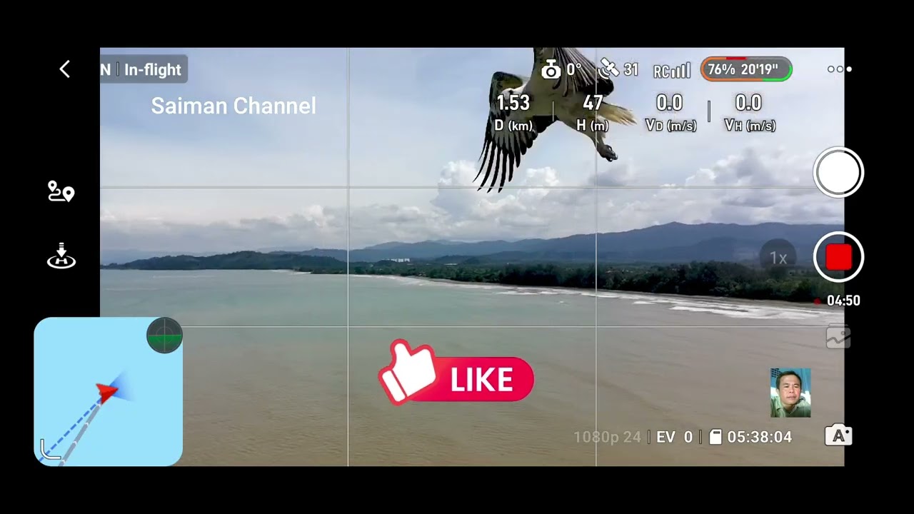 Burung Helang VS Drone