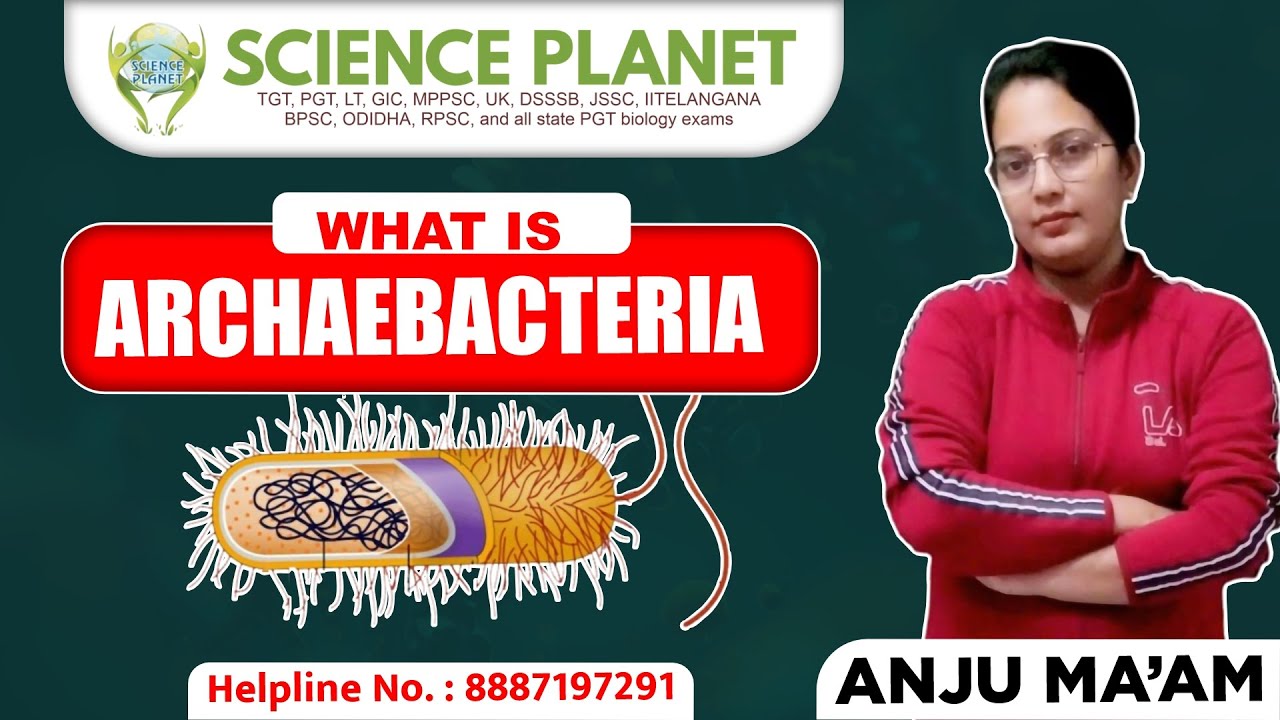 What is ARCHAEBACTERIA by Anju Mam| Science Planet Biology #archaebacteria