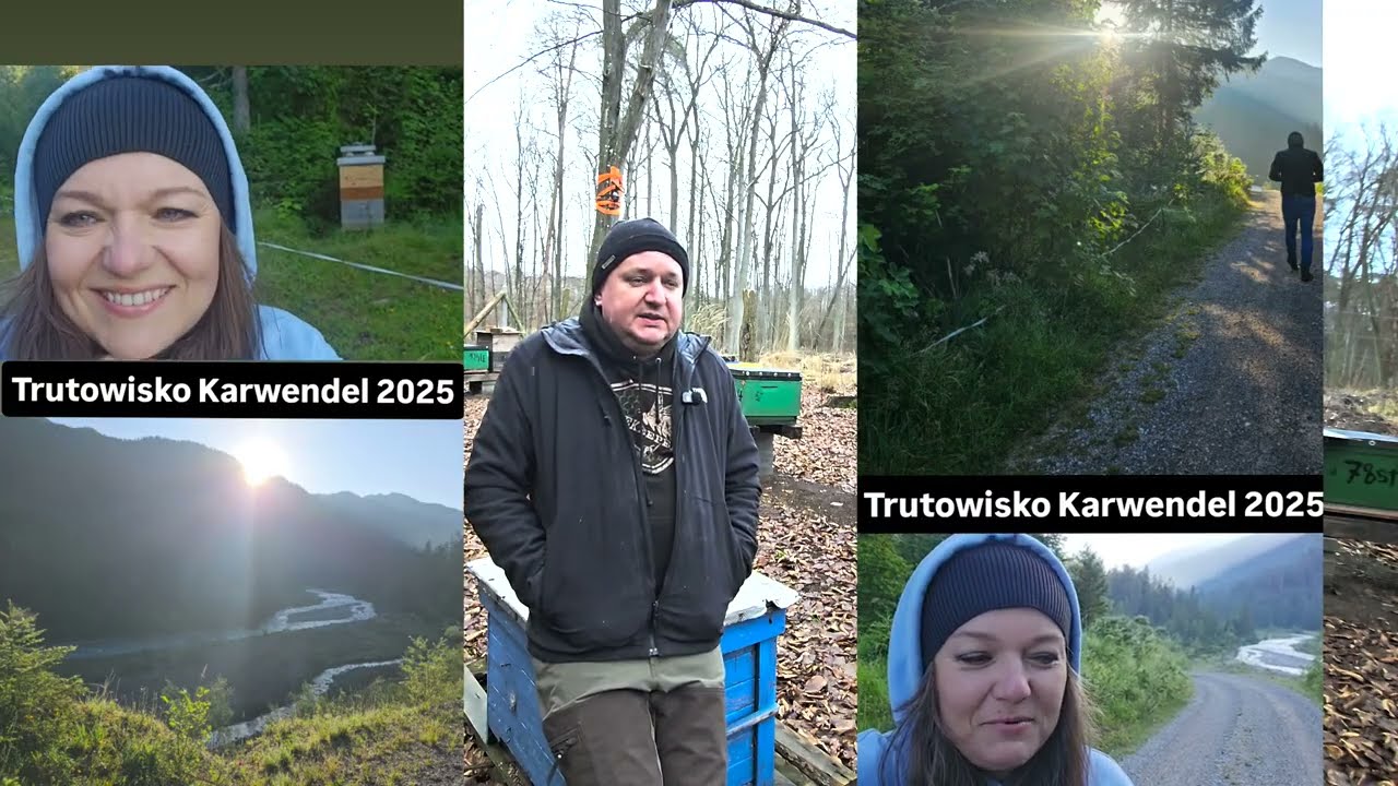 najlepsze matki pszczele na 2026 rok, prace hodowlane 2025, życzenia świąteczne, pszczoły Buckfast