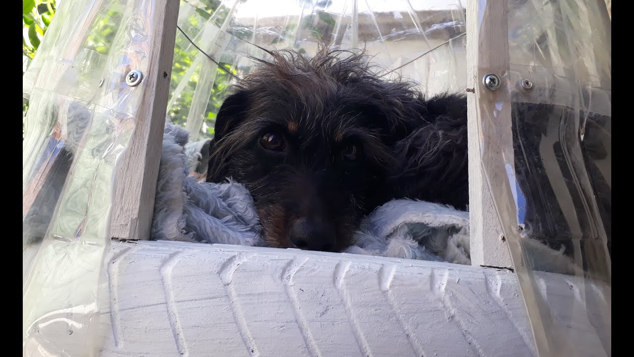 Casinha de cachorro com pneu velho e garrafa pet.