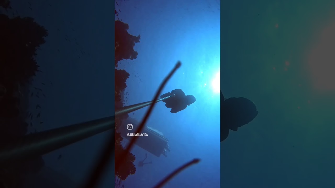 freediving in Yanbu Saudi Arabia