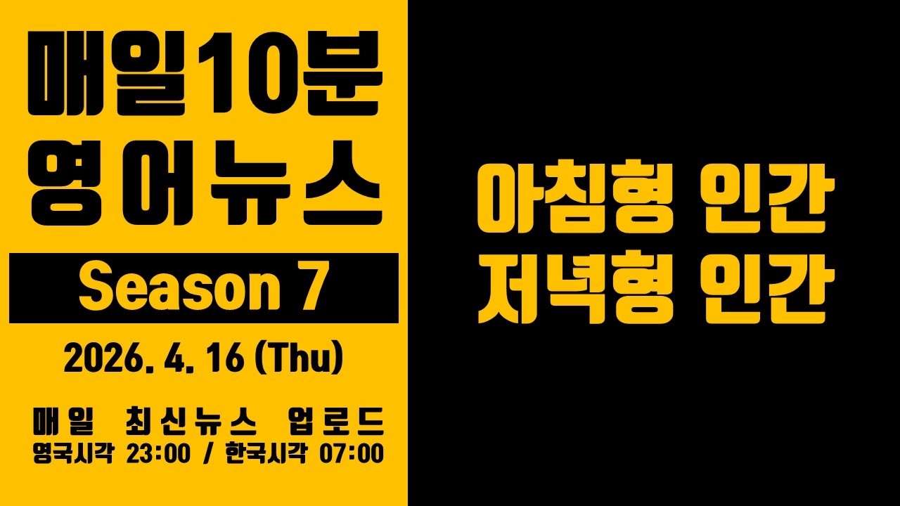영어뉴스 - 아침형 인간, 저녁형 인간 (2026. 4. 16)