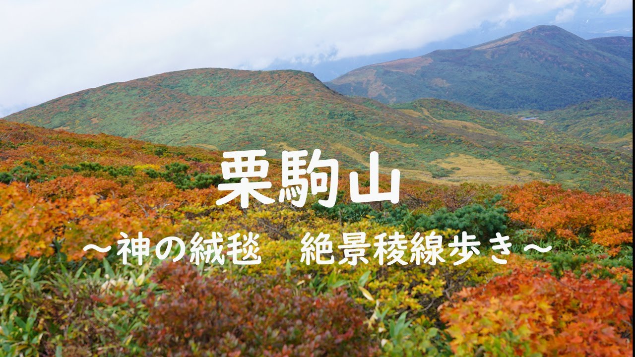栗駒山     神の絨毯　絶景稜線歩き　【４K】【登山】＃神の絨毯　＃栗駒山