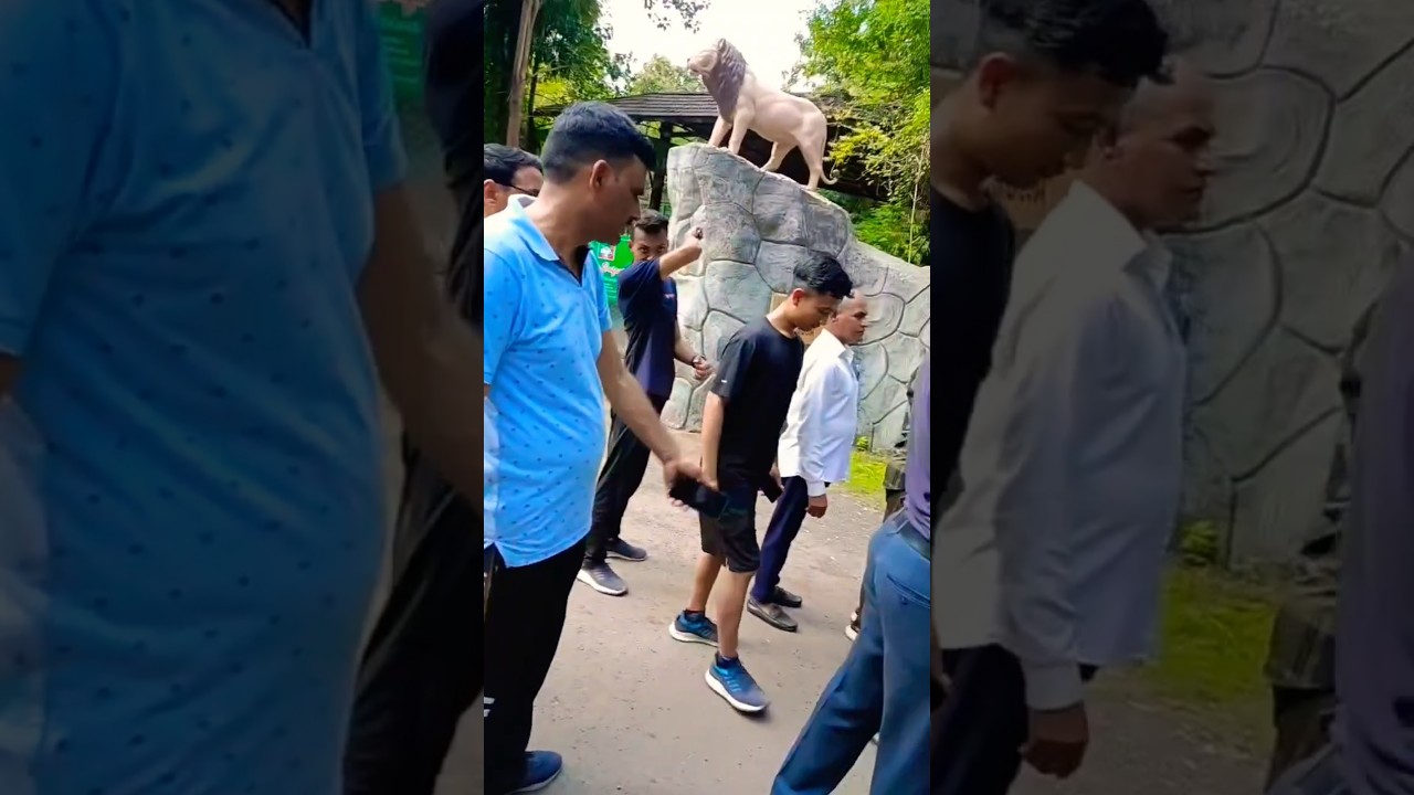 Vasona lion Safari💝 #vedantaltd  #vedantalimited #vedantasterlite#silvasa #dadranagarhaveli