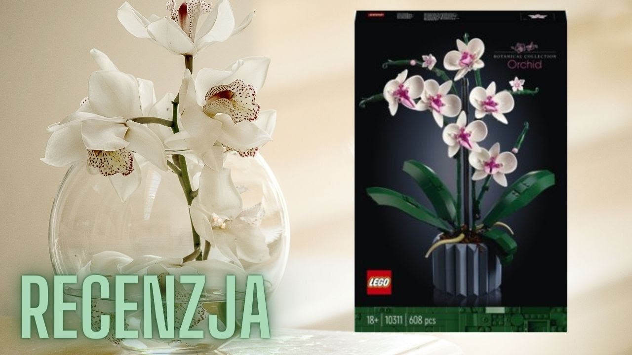 Recenzja LEGO Creator Expert - Orchidea (10311)