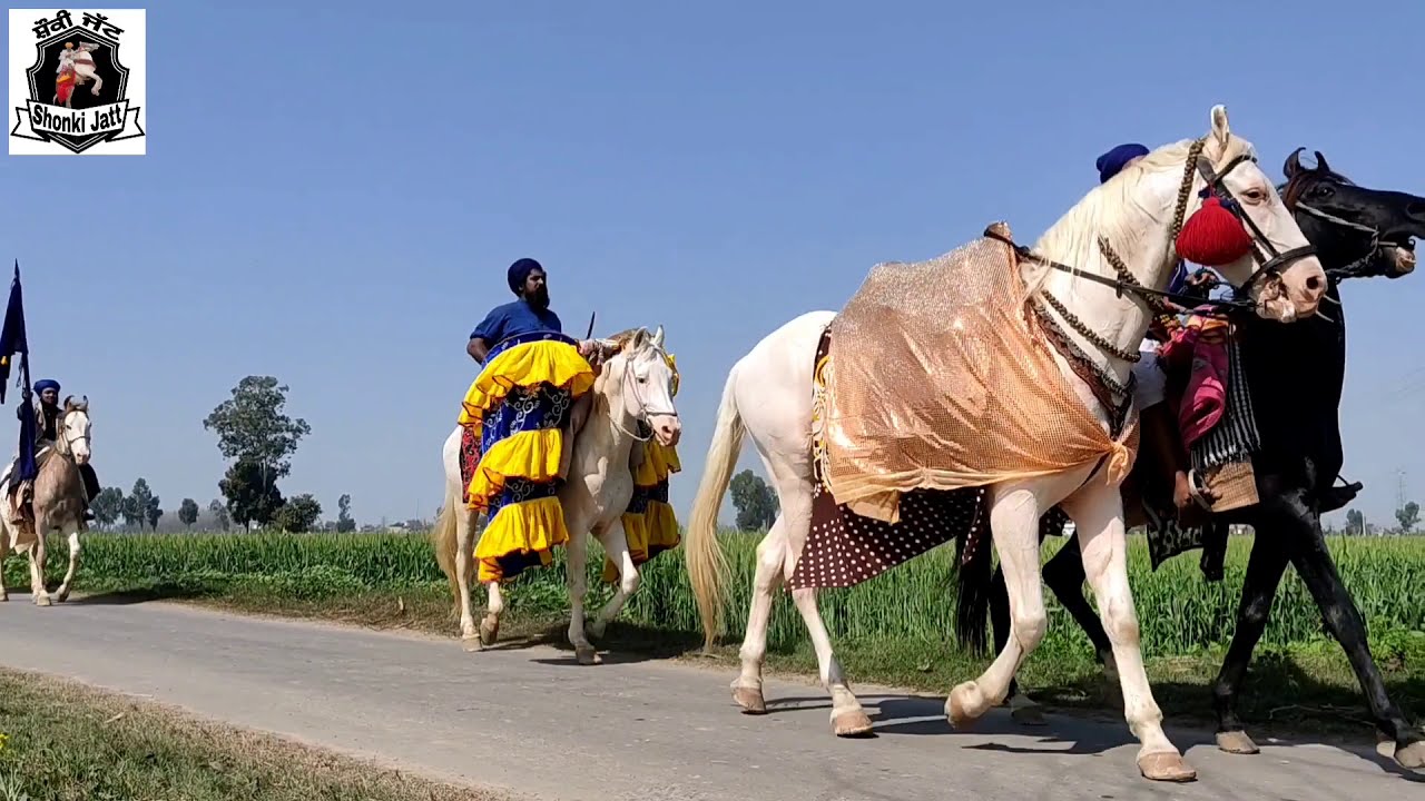 Nihang Singh Tarna Dal Baba Bakala Sahib at Village (khashi) Punjab