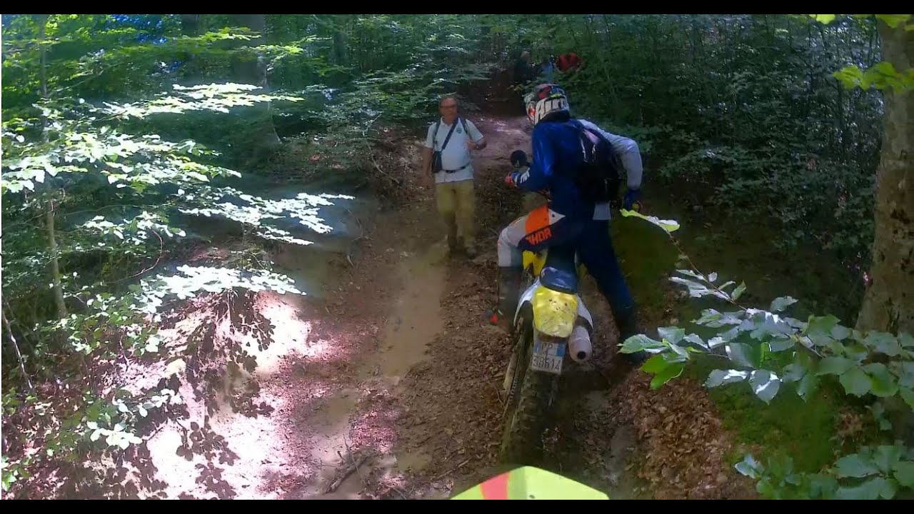 Angry forester vs dirt bike-GSM