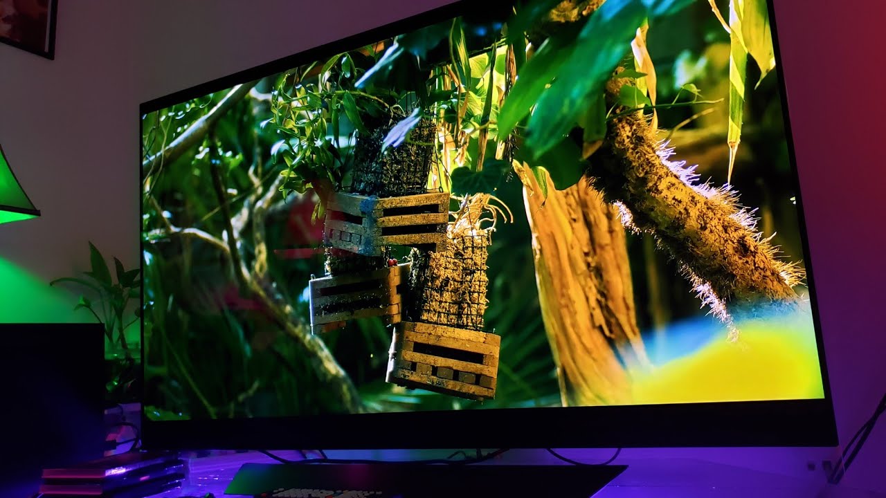 E8 OLED  LG HLG HDR Test with Technicolor Expert Mode
