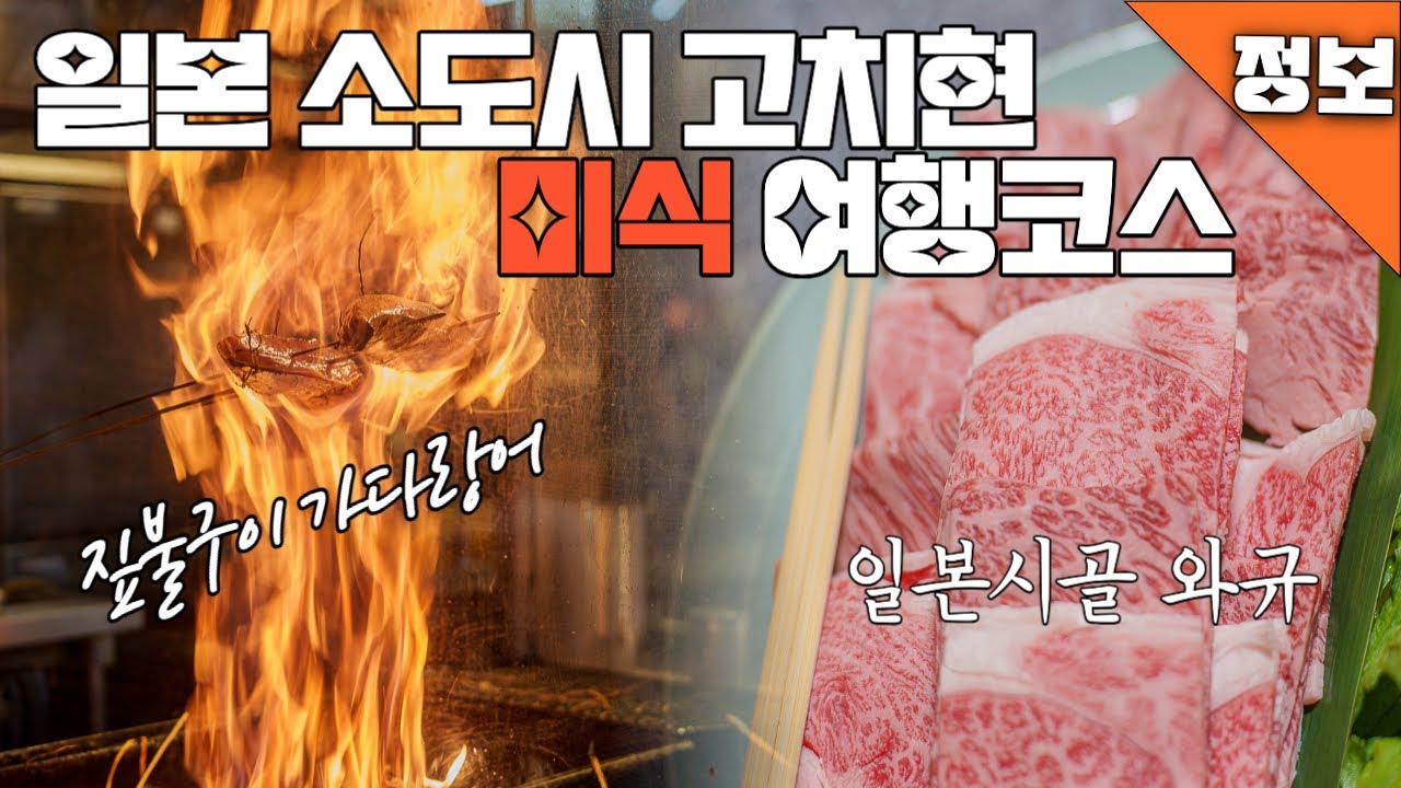 일본 소도시 사람 스트레스 없이 즐기는 고치현 미식여행