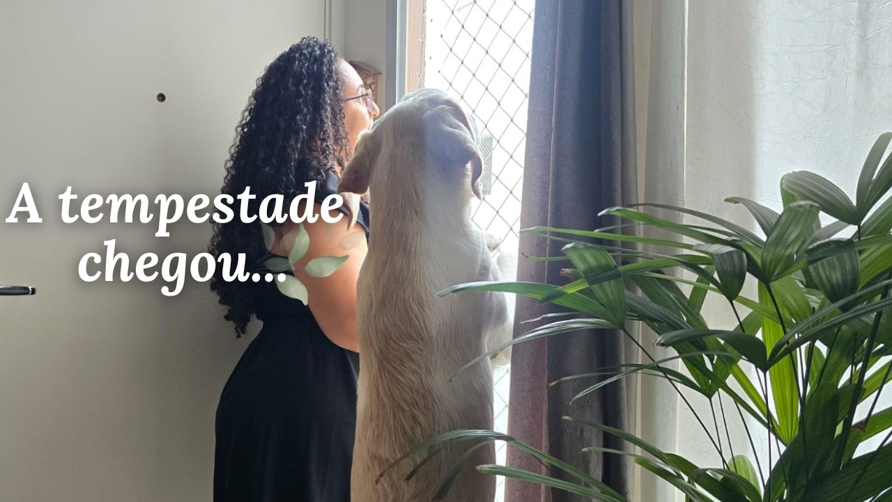 O Dia Estava Lindo… Até a Tempestade Chegar 🌧️ | Mudança de Quartos e Faxina