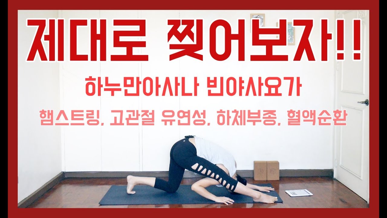 [EVA YOGA]고관절, 햄스트링 유연성, 하체부종, 혈액순환, 하누만아사나 빈야사요가