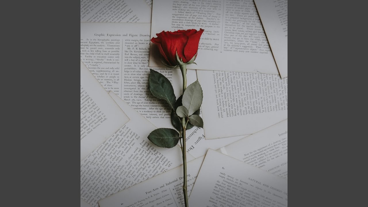 A Little Piece of Love