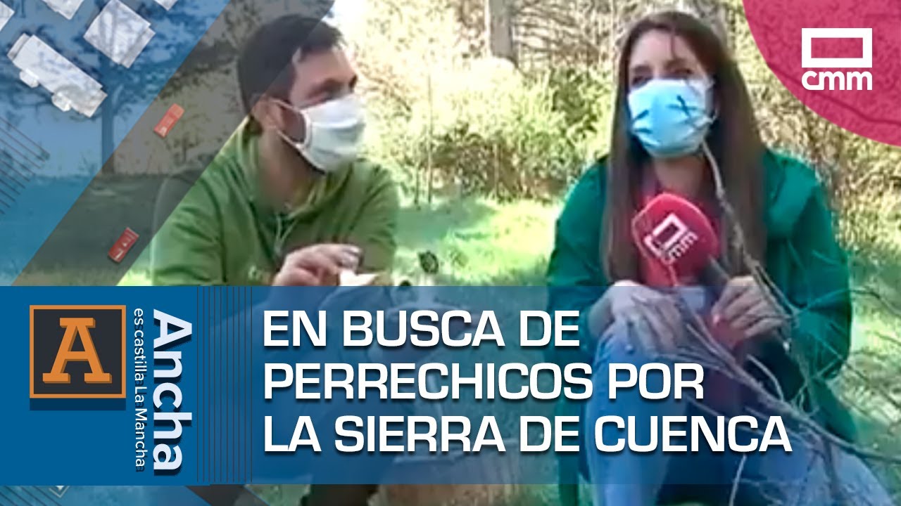 La primavera es de los perrechicos