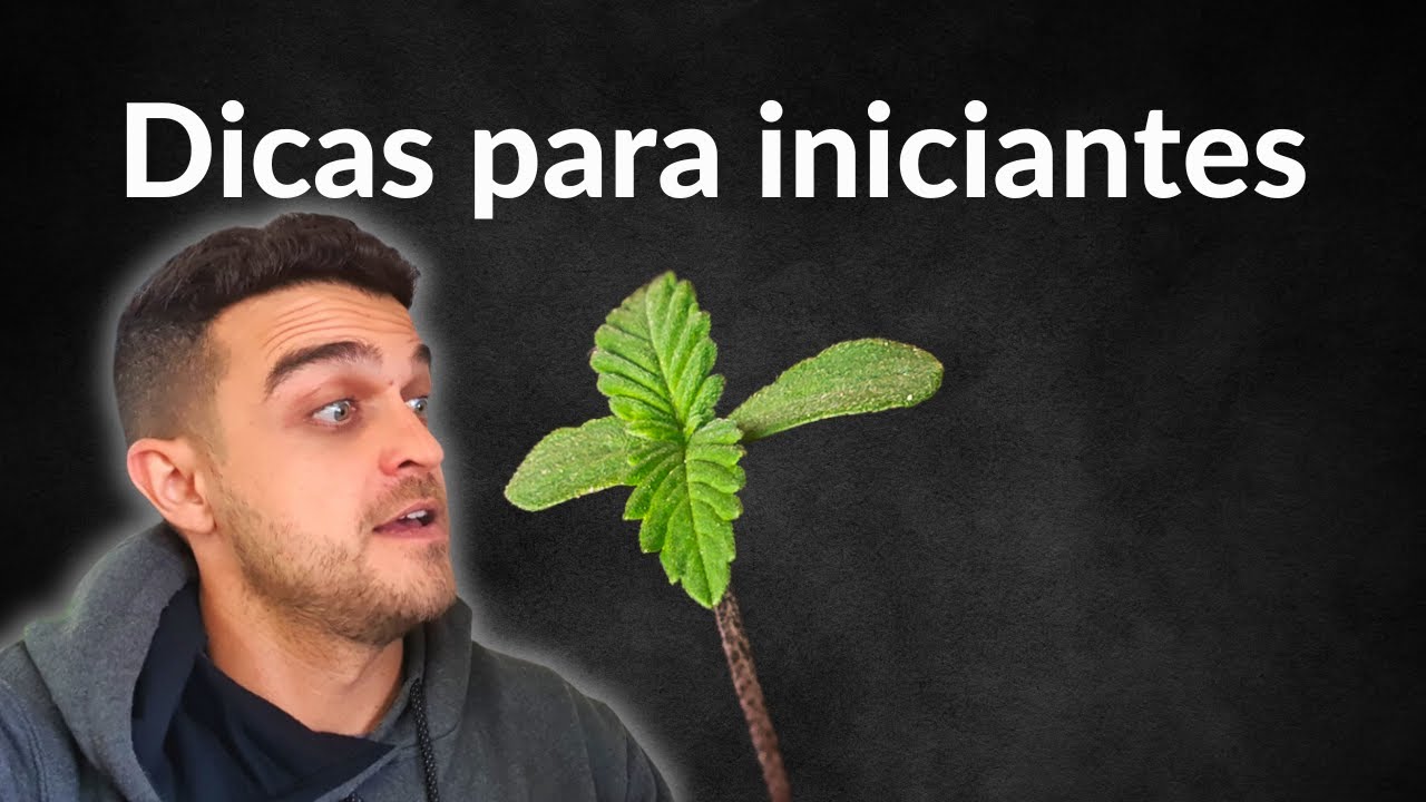 Dicas para cultivador iniciante