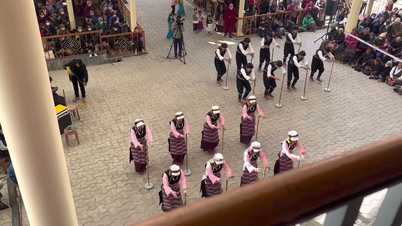 Last dance by TIPA -Happy Nobel Peace Prize Day 2022
