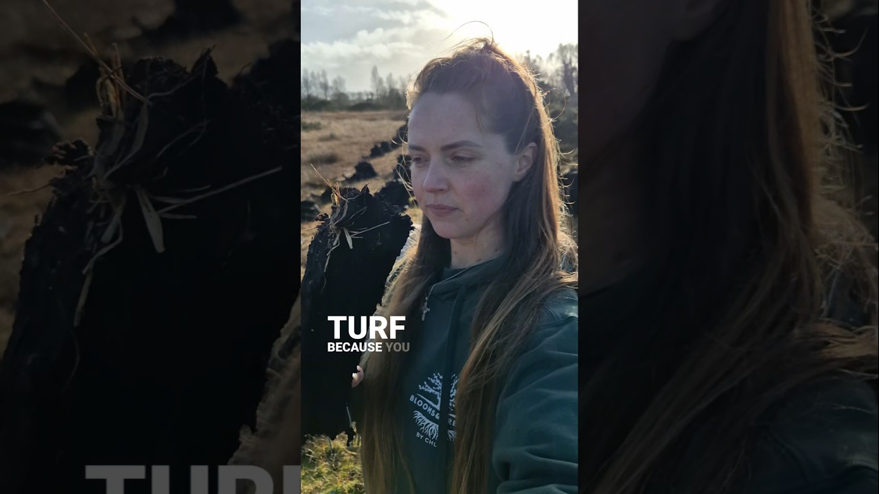 Irish peat is not the problem