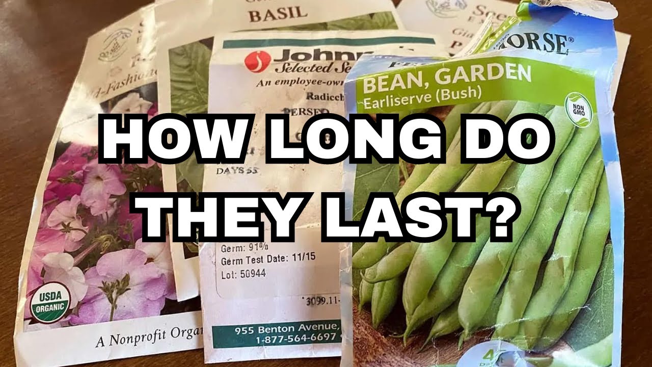 Can You Still Use OLD Seeds? Seed Expiration Secrets for Beginner Gardeners!