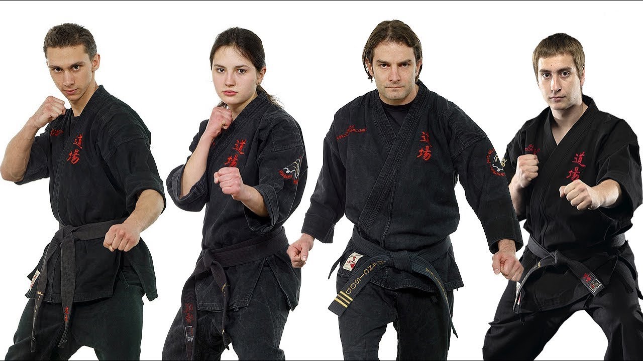 Kata Goshin-Système - Quatuor Sensei - 2012