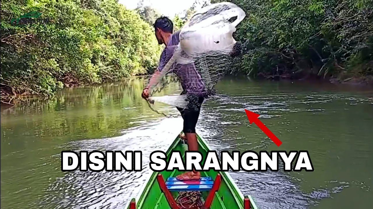 TERNYATA IKAN BABONNYA NGUMPUL DI TEMPAT BERARUS