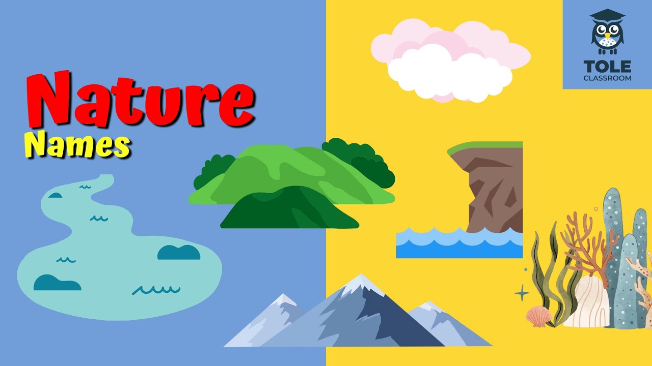 Nature Names | Easy & Fun English Learning | Flashcard | Tole Classroom