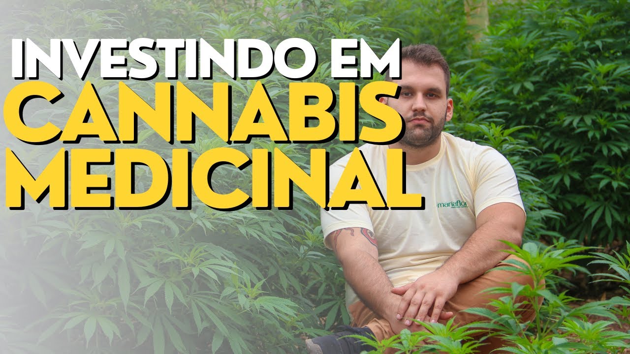 como INVESTIR em MACONHA MEDICINAL