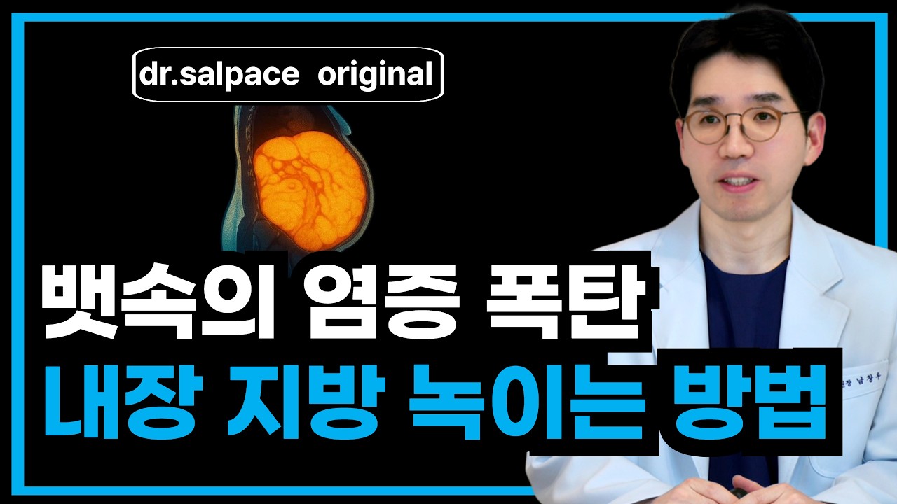 뱃살 찌게하는 염증 신호 10가지 | 내장지방 싹 비우는 항염식품 7가지