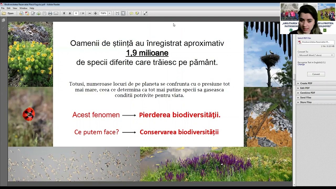 Lecție teoretică - biodiversitatea Rezervației Naturale „Plaiul Fagului”