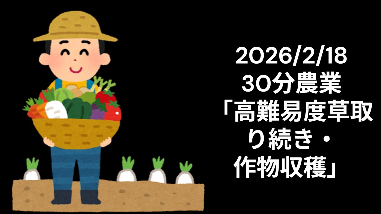 【30分農業】苦労の先の「ご褒美」！春菊の草取り完結＆歓喜の収穫タイム【2026.2.18】