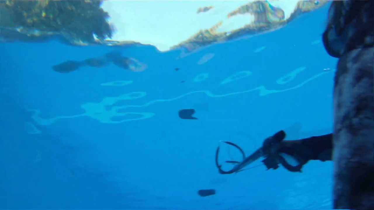 Test di tiro con Seatec Snake 70 e Snake 80
