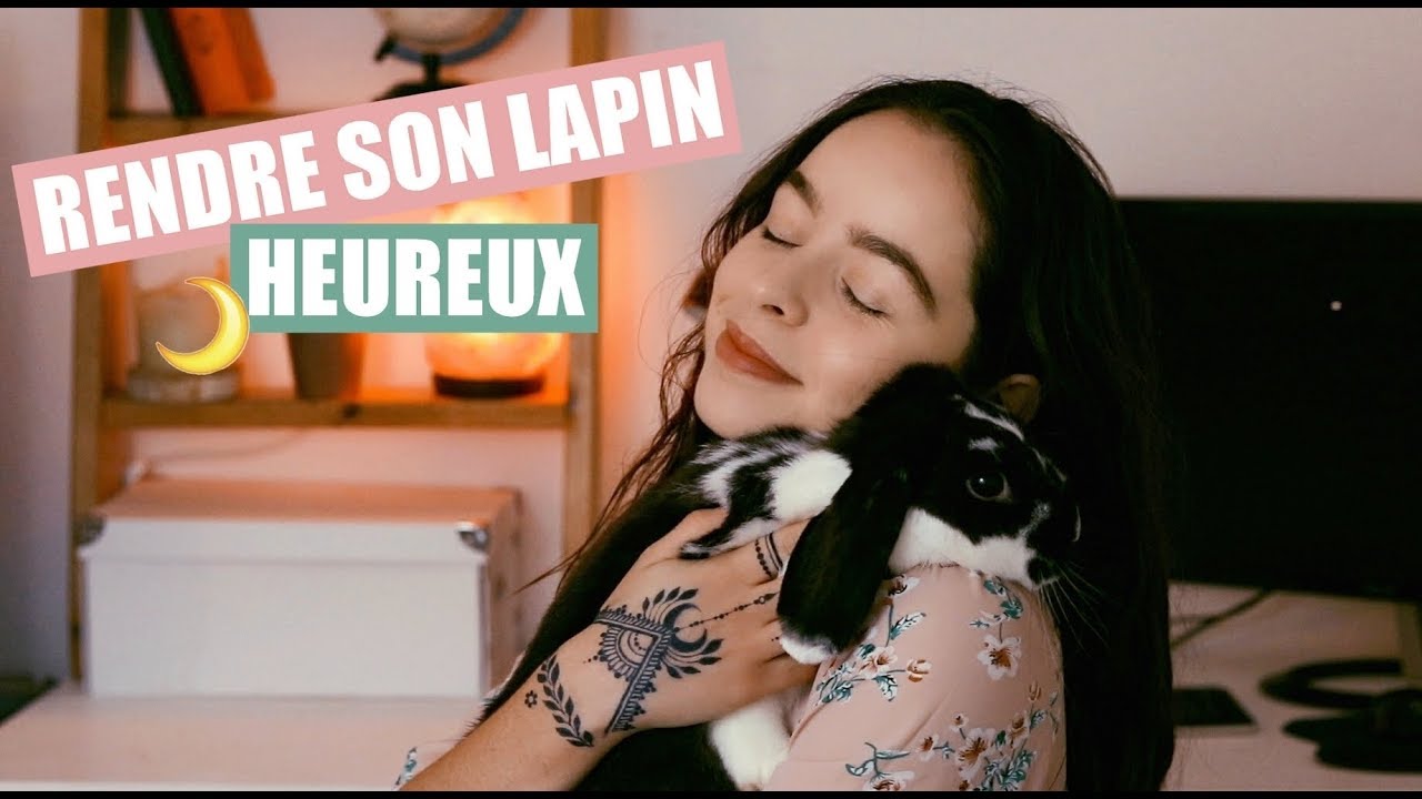 5 choses à savoir avant d'avoir un lapin 🐰 | Avoir un lapin