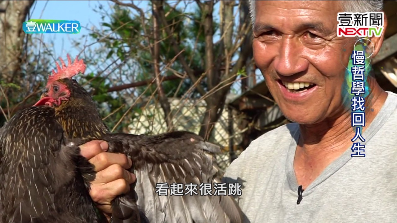 壹Walker-第83集 part1 放山雞