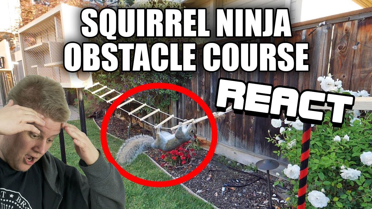 React: Building the Perfect Squirrel Proof Bird Feeder