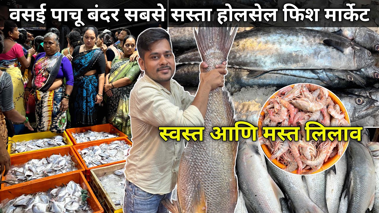 Vasai Fish Market | Fish Market Vasai | Pachu Bandar Vasai Fish Market  Wholesale Fish Market Mumbai