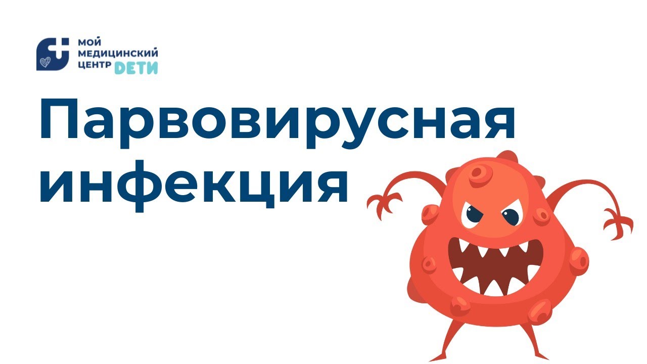 Сыпь у ребёнка. Парвовирусная инфекция