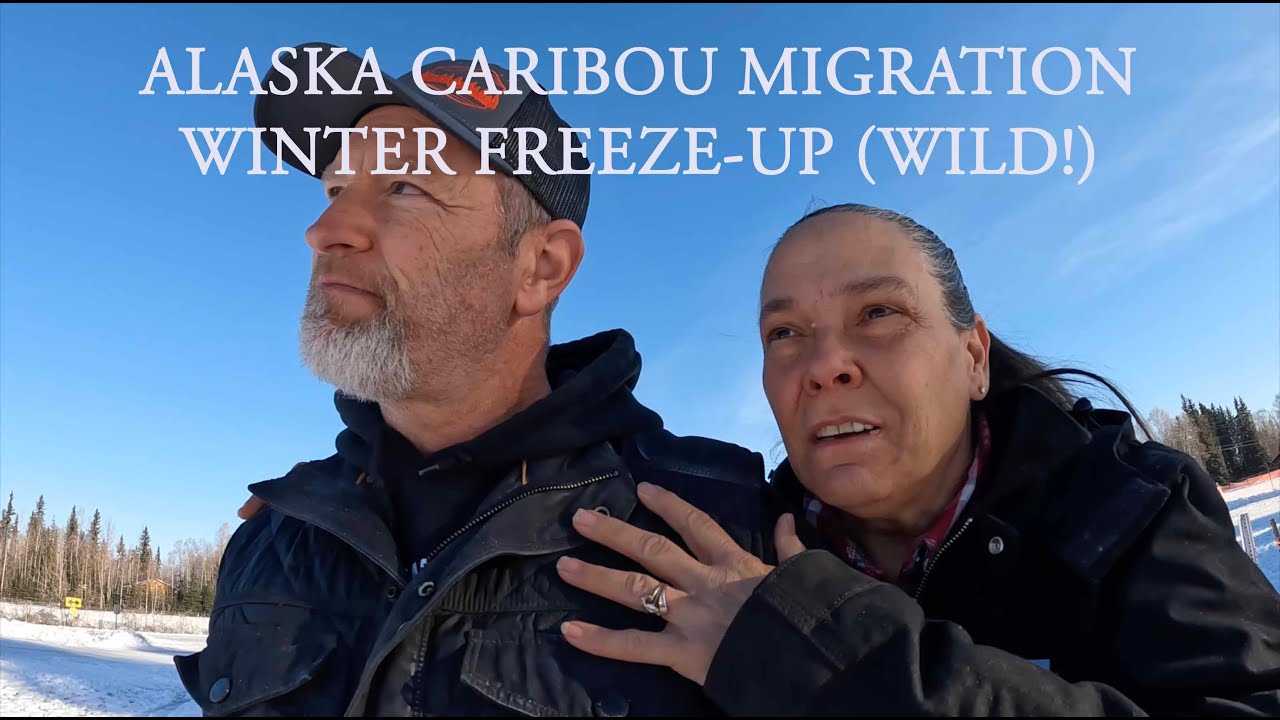 ALASKA CARIBOU MIGRATION | WINTER FREEZE UP