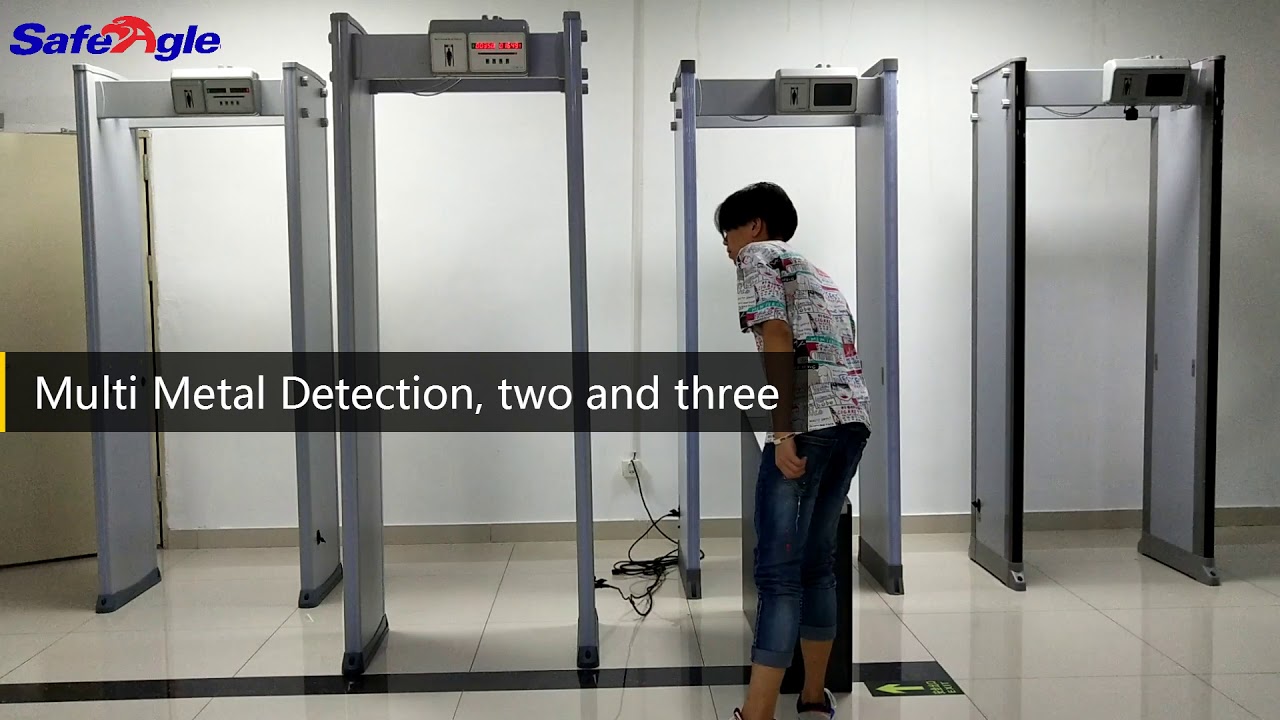 Safeagle 06Series Walk Through Metal Detector WTMD