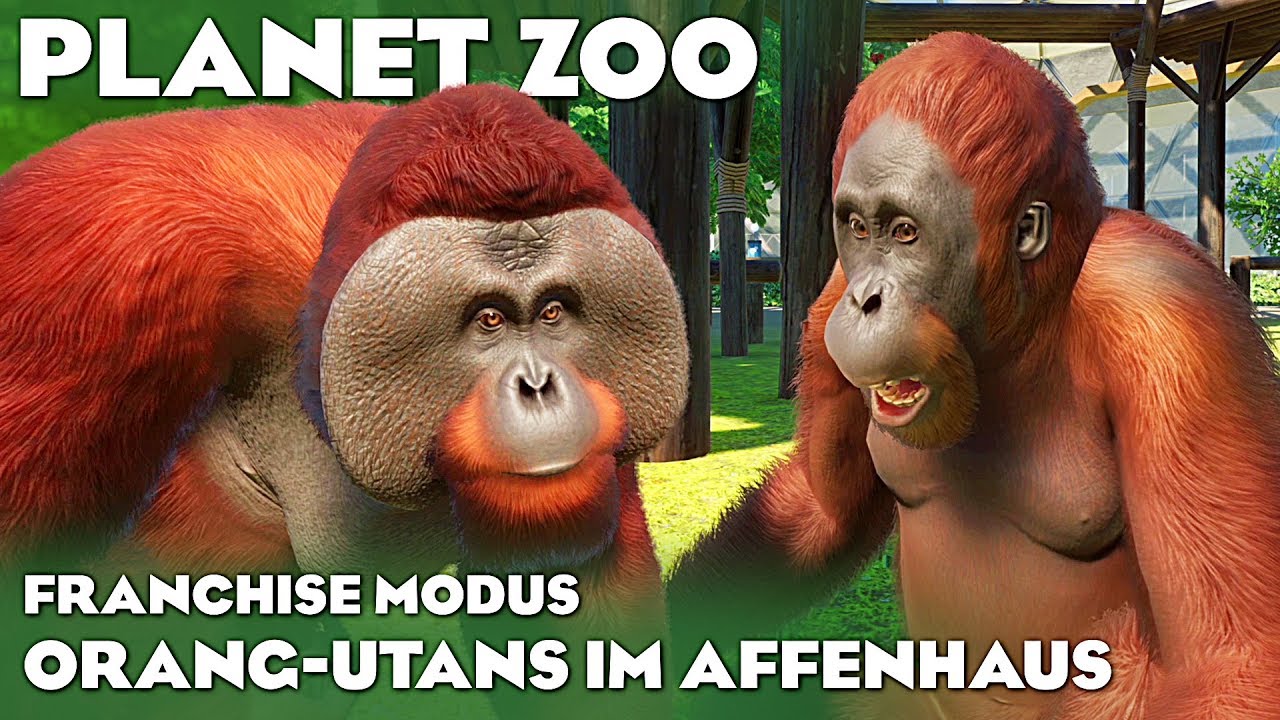 PLANET ZOO ORANG-UTANS IM AFFENHAUS Planet Zoo Deutsch German Franchise #19