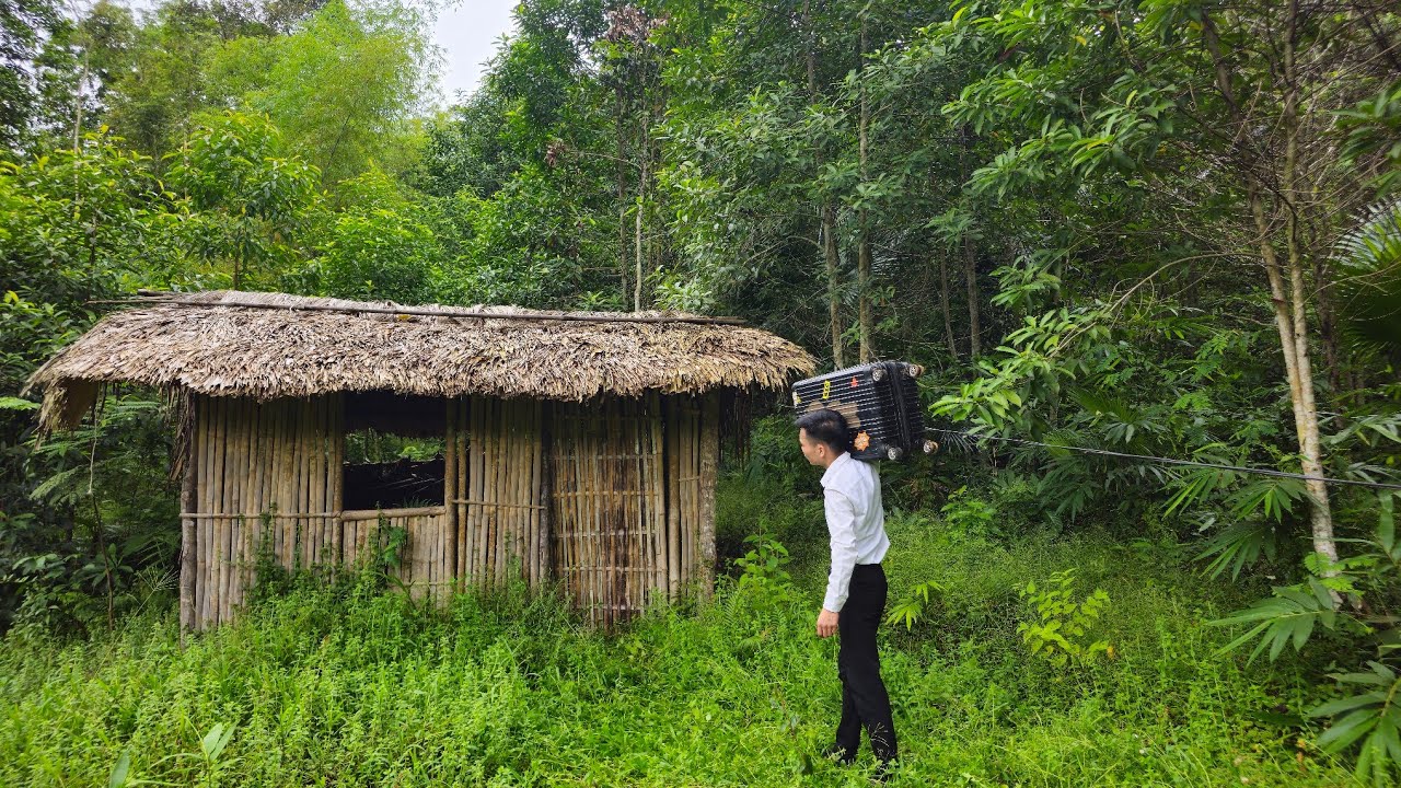CEO leaves city to return to abandoned old house to rebuild life | Unbelievable transformation.