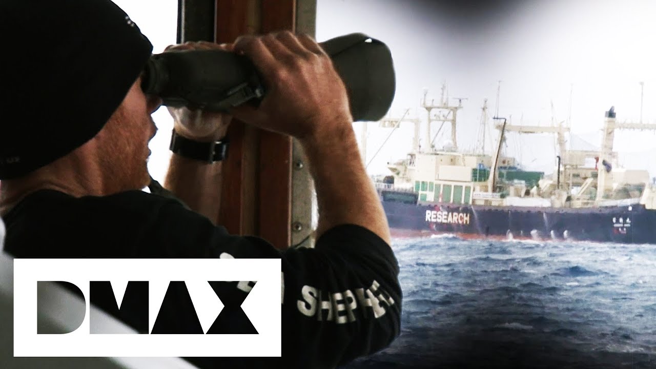 The Bob Barker Finally Tracks Down Japanese Factory Ship | Whale Wars
