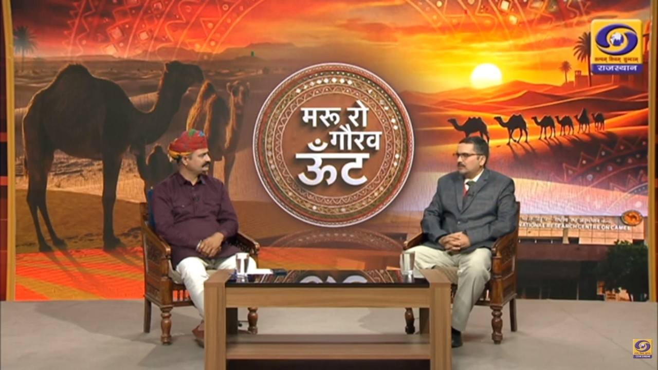 ऊंटों में होने वाली बीमारियों का क्या इलाज है |डॉ राकेश रंजन, वैज्ञानिक |MAROO RO GAURAV OONT|EP 7
