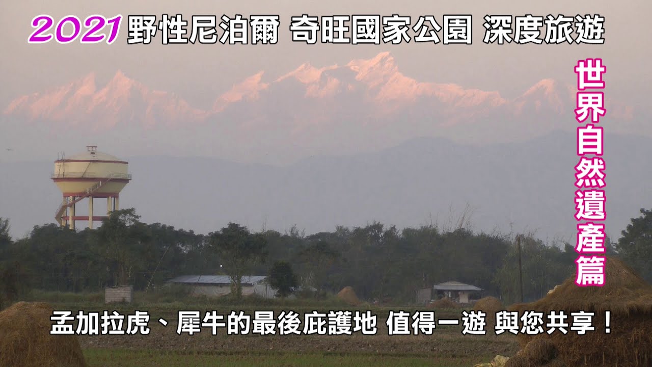 2021野性尼泊爾 奇旺國家公園深度遊  世界自然遺產篇產  孟加拉虎、犀牛等野生動物的最後庇護地 值得一遊哦！