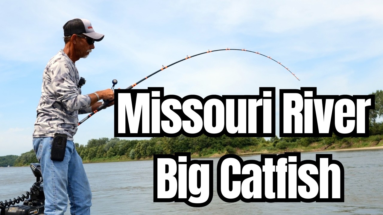 Monster Catfish on the Missouri River! 85lb Blue Cat with John Jamison