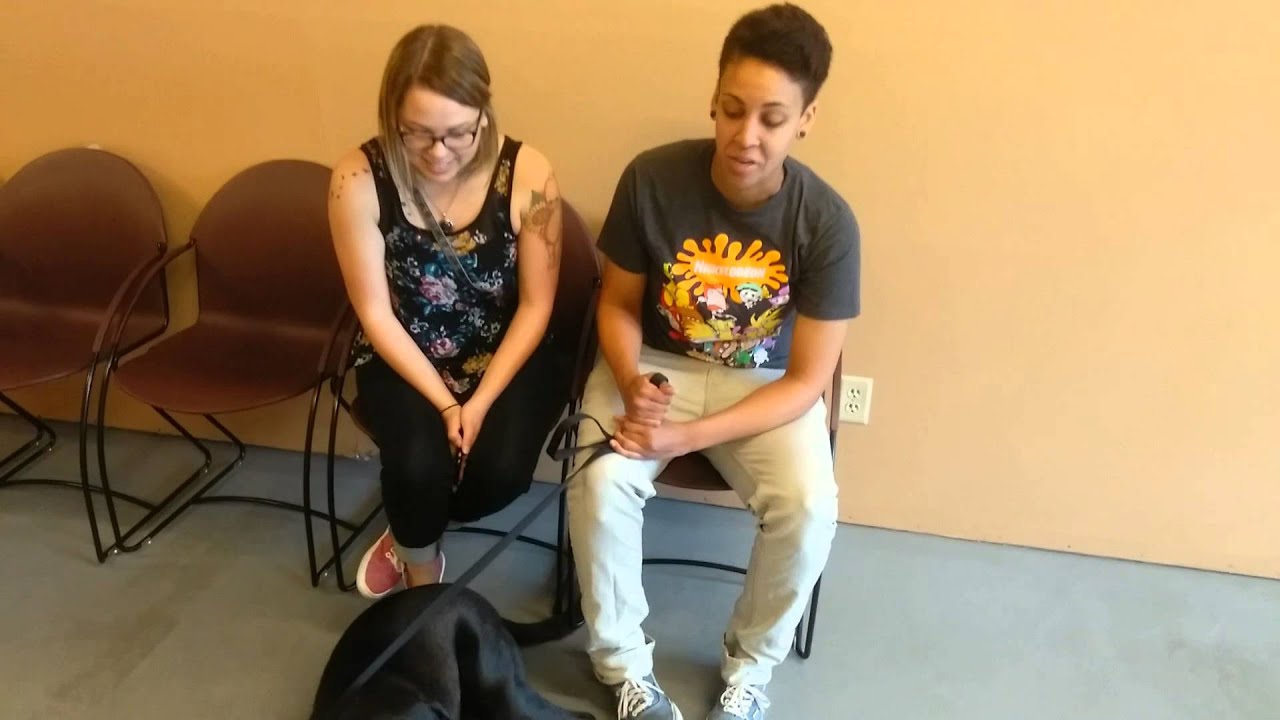 Success Story: Reno Dog Training Company Changes 