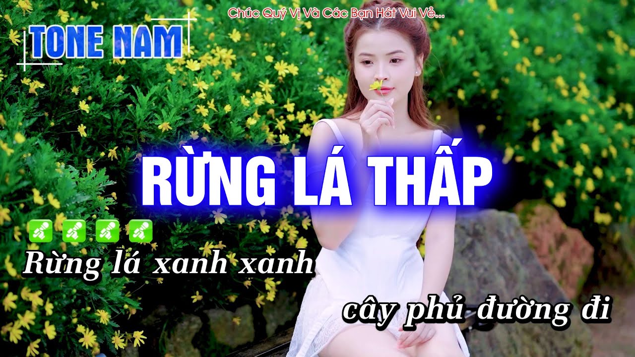 Karaoke Rừng Lá Thấp (Tone Nam) Beat Công Tuấn cực hay - Hoàng Dũng Karaoke