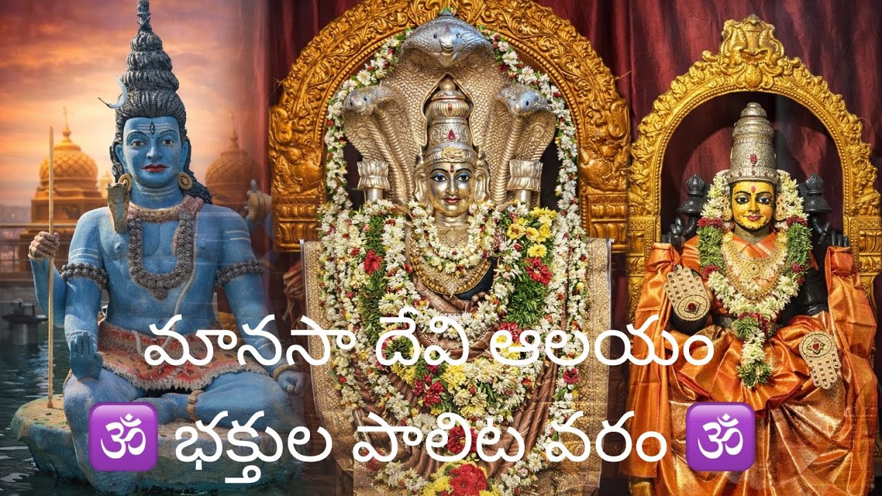 శ్రీ స్వయంభు మానసాదేవి టెంపుల్ 🛕 
